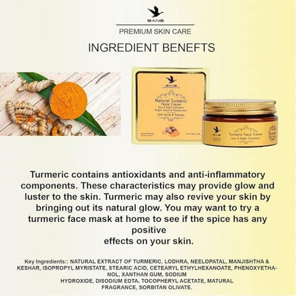 Turmeric Face Cream Day And Night Treatment 100GM